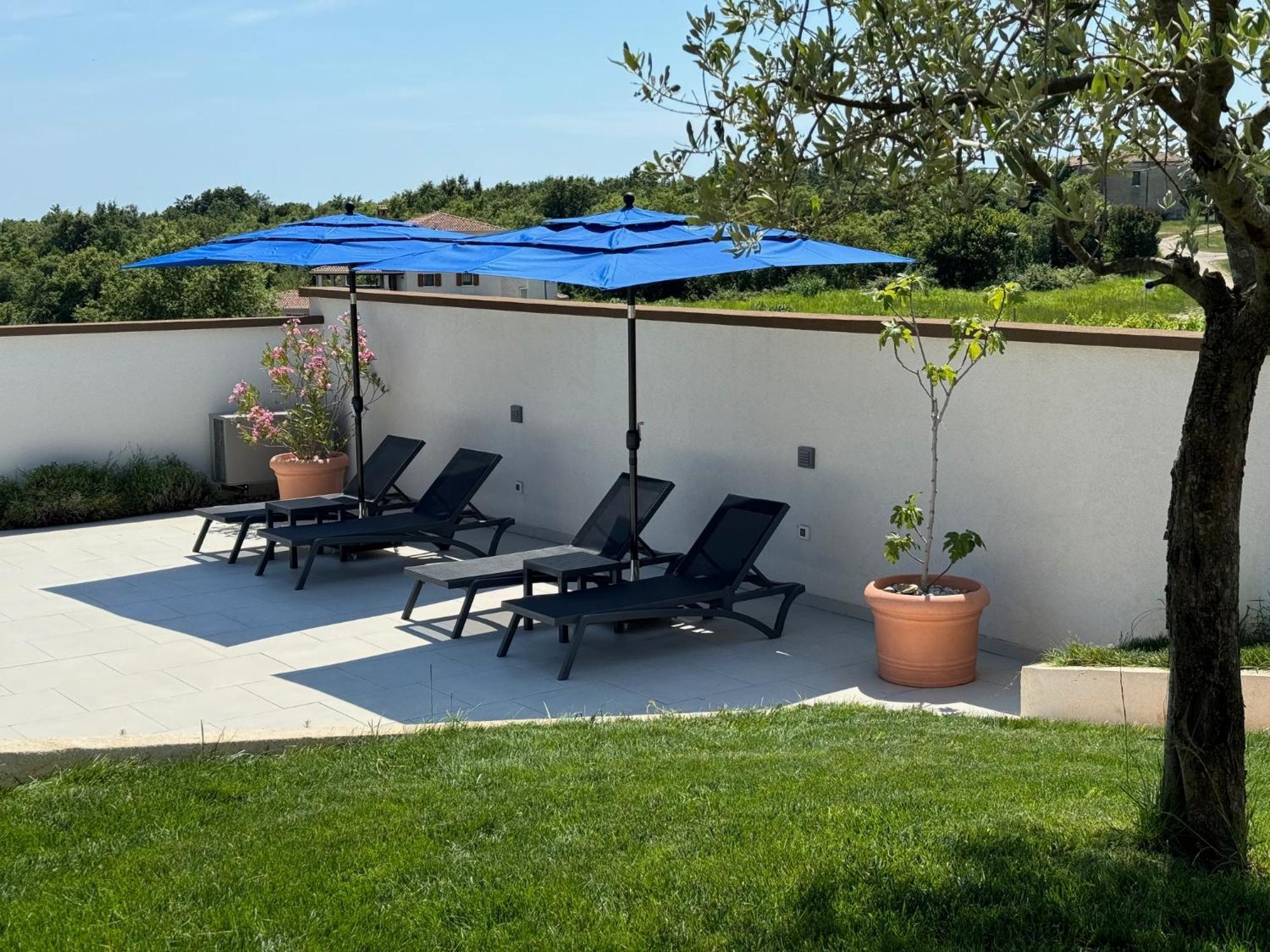 Villa Victoria Istra - Heated Pool Nova Vas  Dış mekan fotoğraf